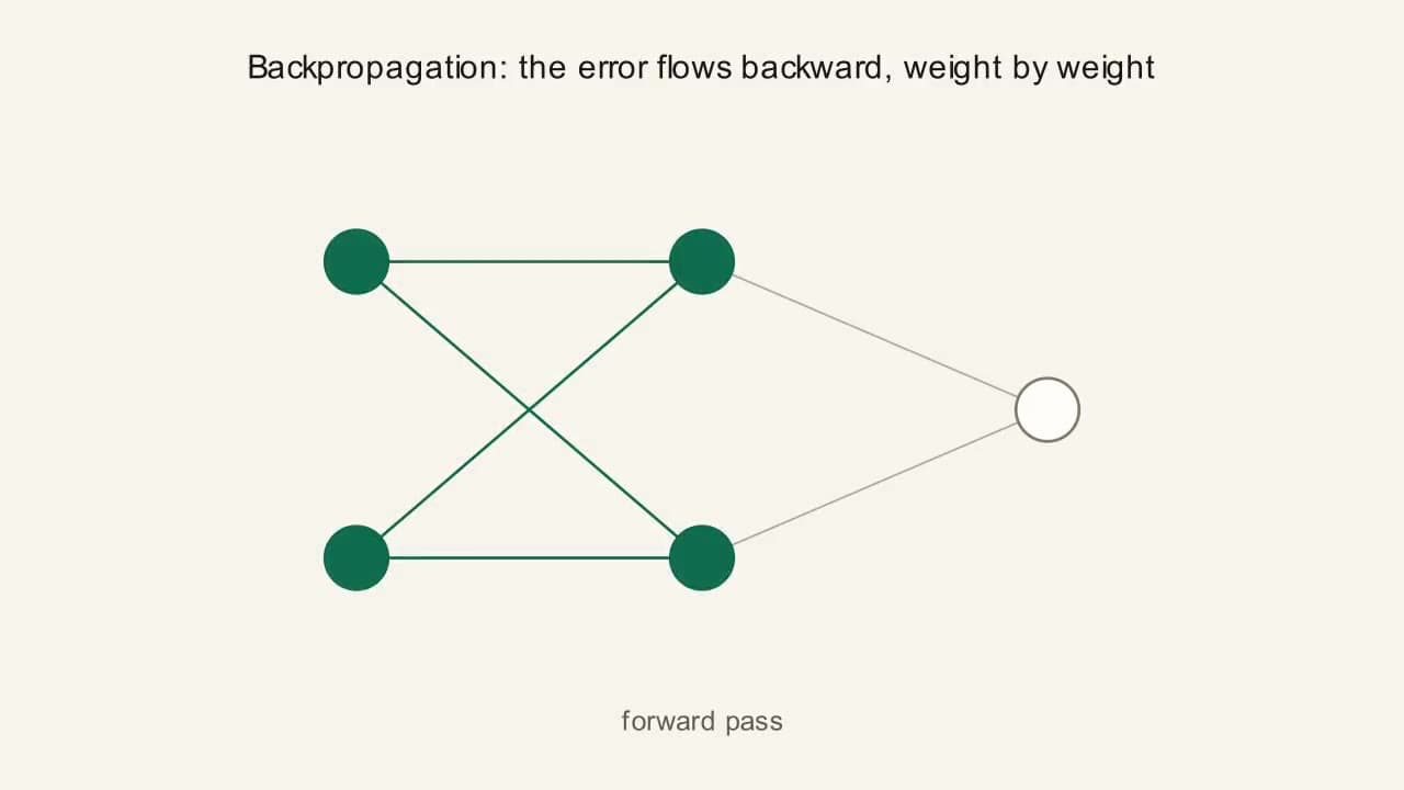Preview frame from the "Backpropagation" animation