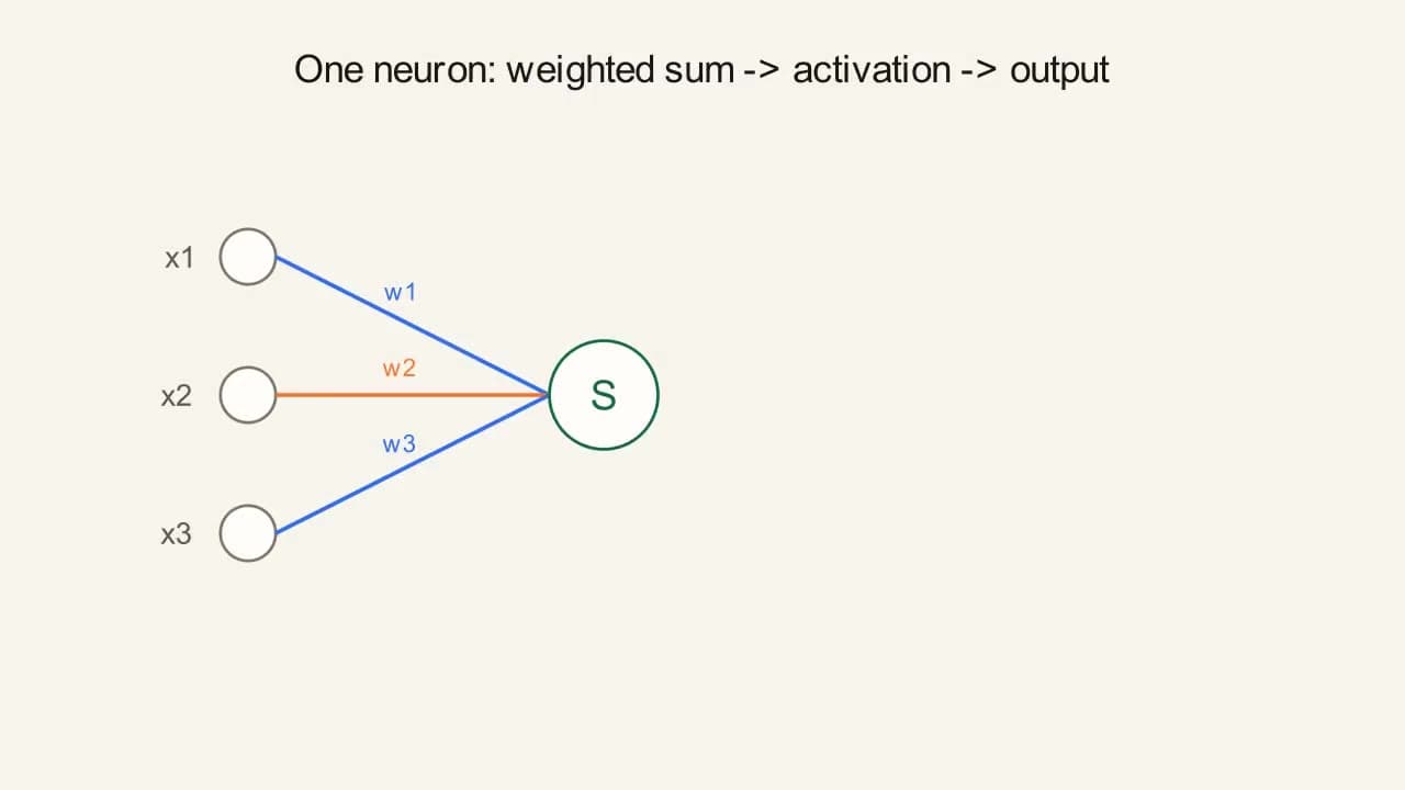 Preview frame from the "The Single Neuron" animation