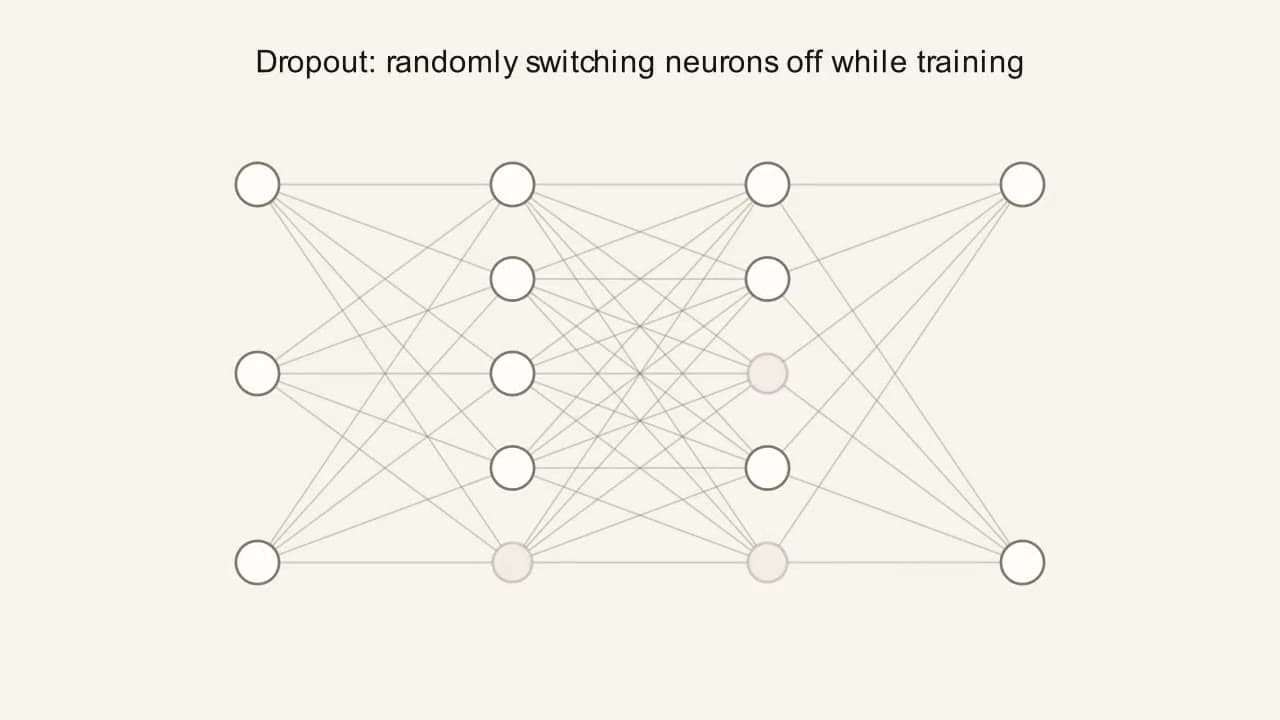 Preview frame from the "Training-Time Regularization" animation