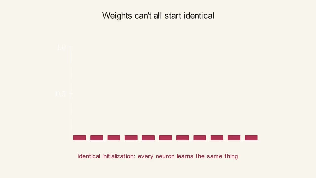 Preview frame from the "Weight Initialization" animation